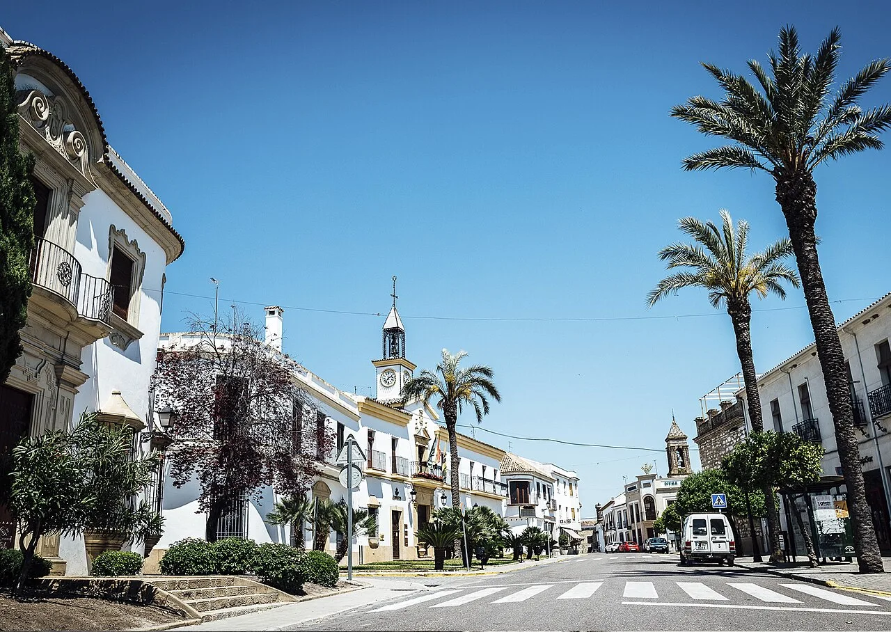 Plaza con ayuntamiento, palmeras y calles en Cañete de las Torres.