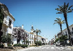Plaza con ayuntamiento, palmeras y calles en Cañete de las Torres.