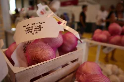 Purple onions on a stall at the fair.