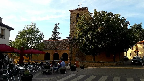 Church of the Immaculate Conception with stone tower and trees.