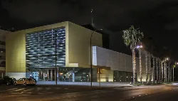 Modern building with lights and palm trees on the sidewalk at night.