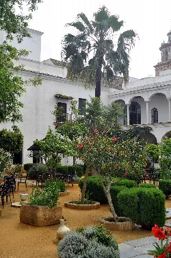 Jardín con palmeras, flores y plantas en un patio del palacio en Sanlúcar de Barrameda.