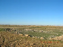 Terreno árido con rocas y poca vegetación en El Bonillo.