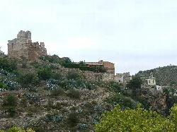 Ruinen einer Burg auf einem Hügel mit Vegetation und Häusern.