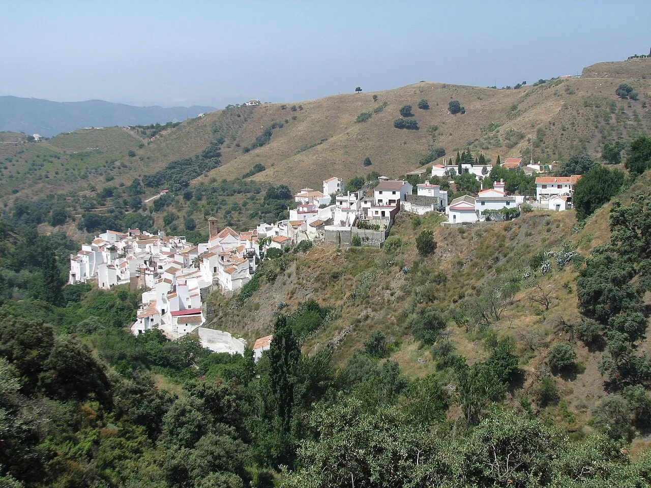 Salares