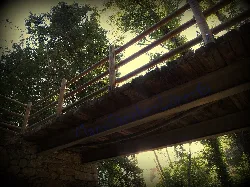 Wooden bridge with railing in a wooded environment