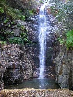Small waterfall flowing between rocks and greenery.