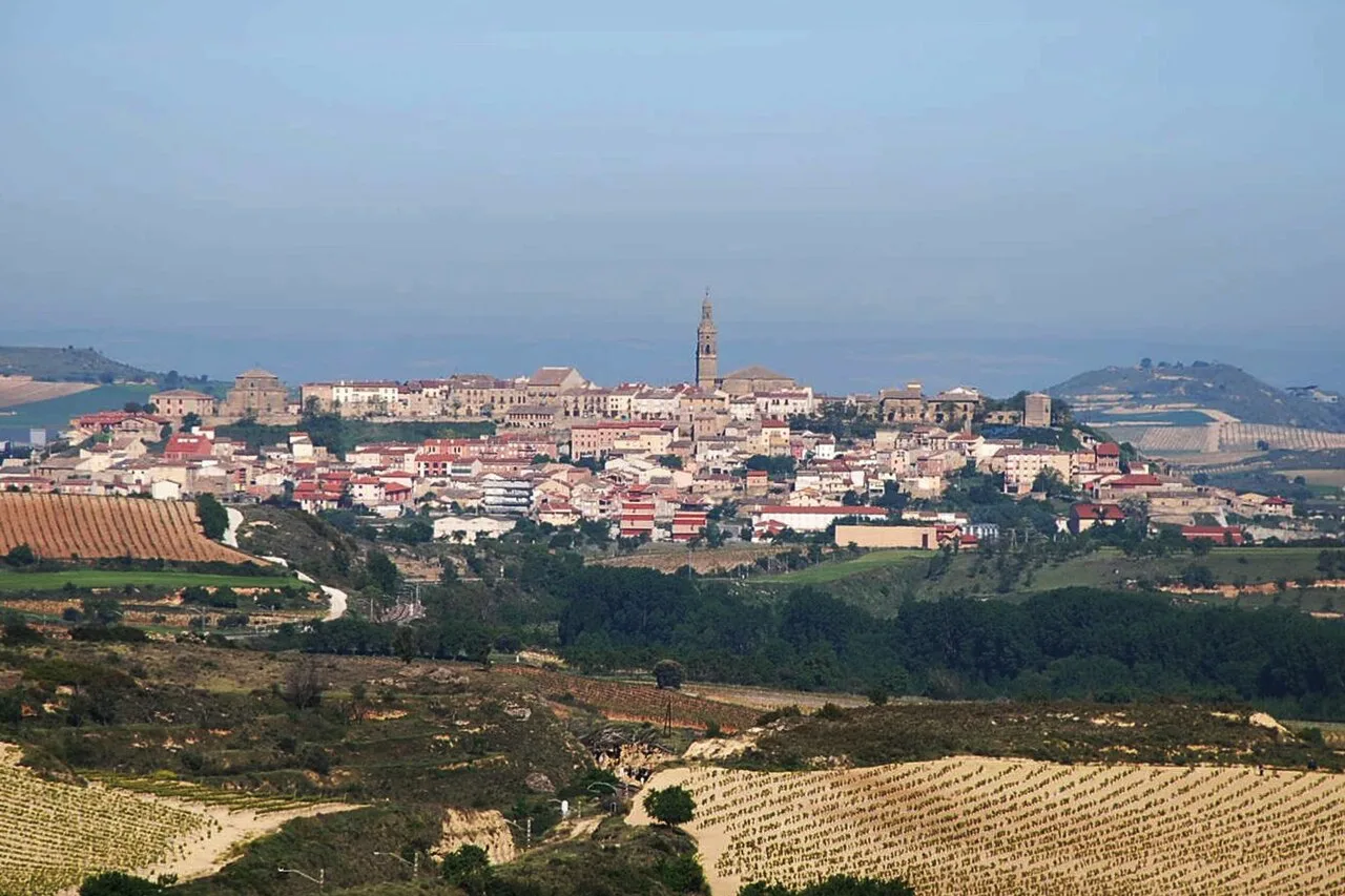 Landscape with view of Briones and Davalillo Castle in La Rioja