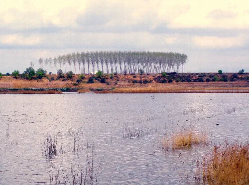 Ivars lake.