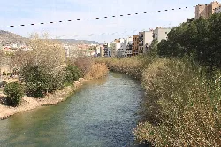 Segura River with vegetation and buildings in Cieza, Murcia.