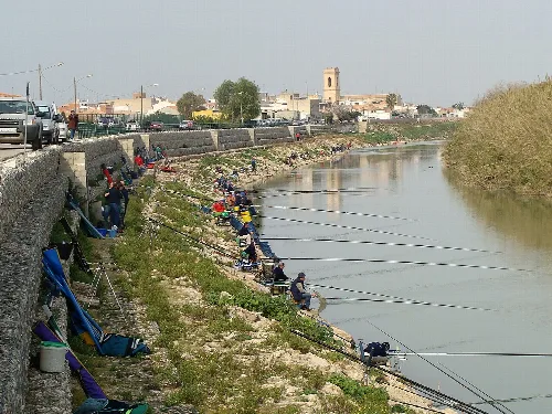 Los campeonatos provinciales y regionales de pesca sin muerte se realizan, en Valencia, en el río Júcar, junto a la población de Fortaleny