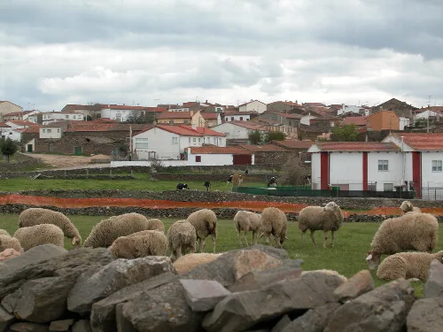 Diego Alvaro (Ávila, Castilla y León).