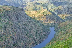 Landscape of the Duero River with mountains and vegetation in Pereña de la Ribera.