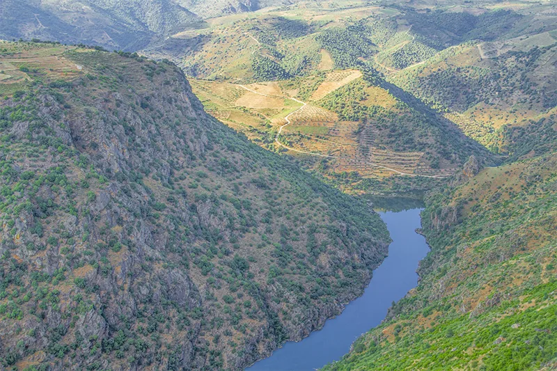 Landscape of the Duero River with mountains and vegetation in Pereña de la Ribera.