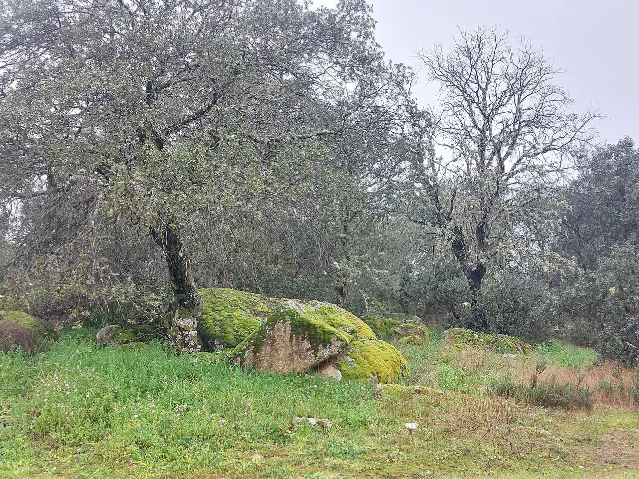 Paraje en Navalcán