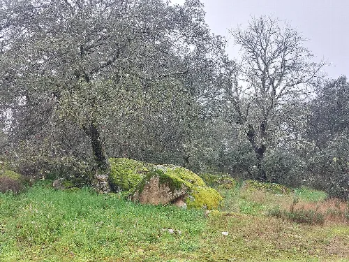 Paraje en Navalcán