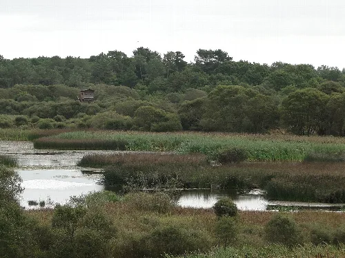 Lagoa de Cospeito