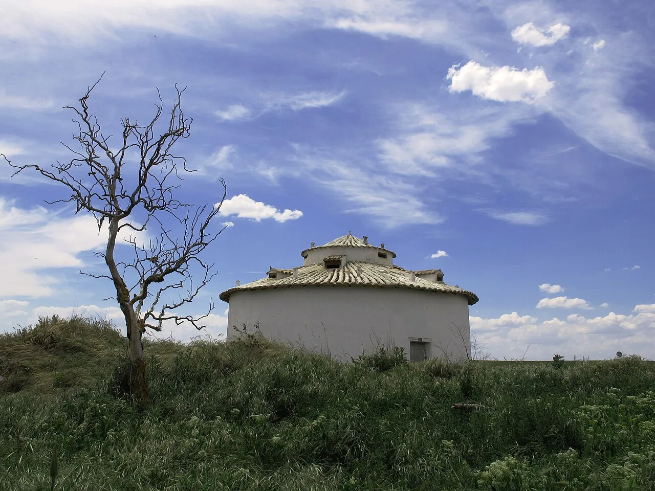 Round dovecote with tiled roof and leafless tree in foreground.