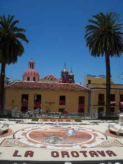 Tapestry in the square with design and palm trees on the sides.