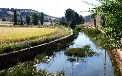 Río Cañamares canalizado con campos y árboles en Carrizosa.