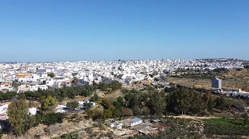 Panoramic view of El Viso del Alcor with houses and greenery.