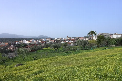 Blick auf eine Stadt mit Häusern, Bäumen und Bergen in der Ferne von der Straße