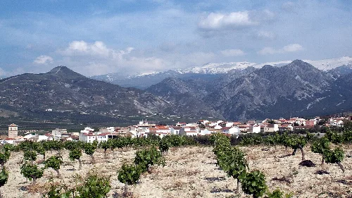 Panoramablick auf Dílar mit Bergen und Weinbergen im Vordergrund