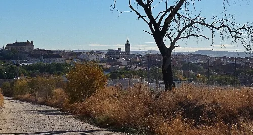 View of Illescas with a leafless tree and autumn vegetation.