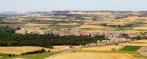 Paisaje rural con campos y pueblo en Pesquera de Duero.