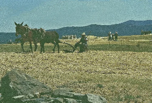 Bauern bei Serradilla del Llano