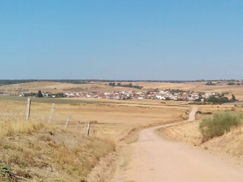Camino de tierra con campo dorado y pueblo al fondo.