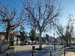 Platz mit kahlen Bäumen, Bänken und Laternen in Ogíjares, Granada.