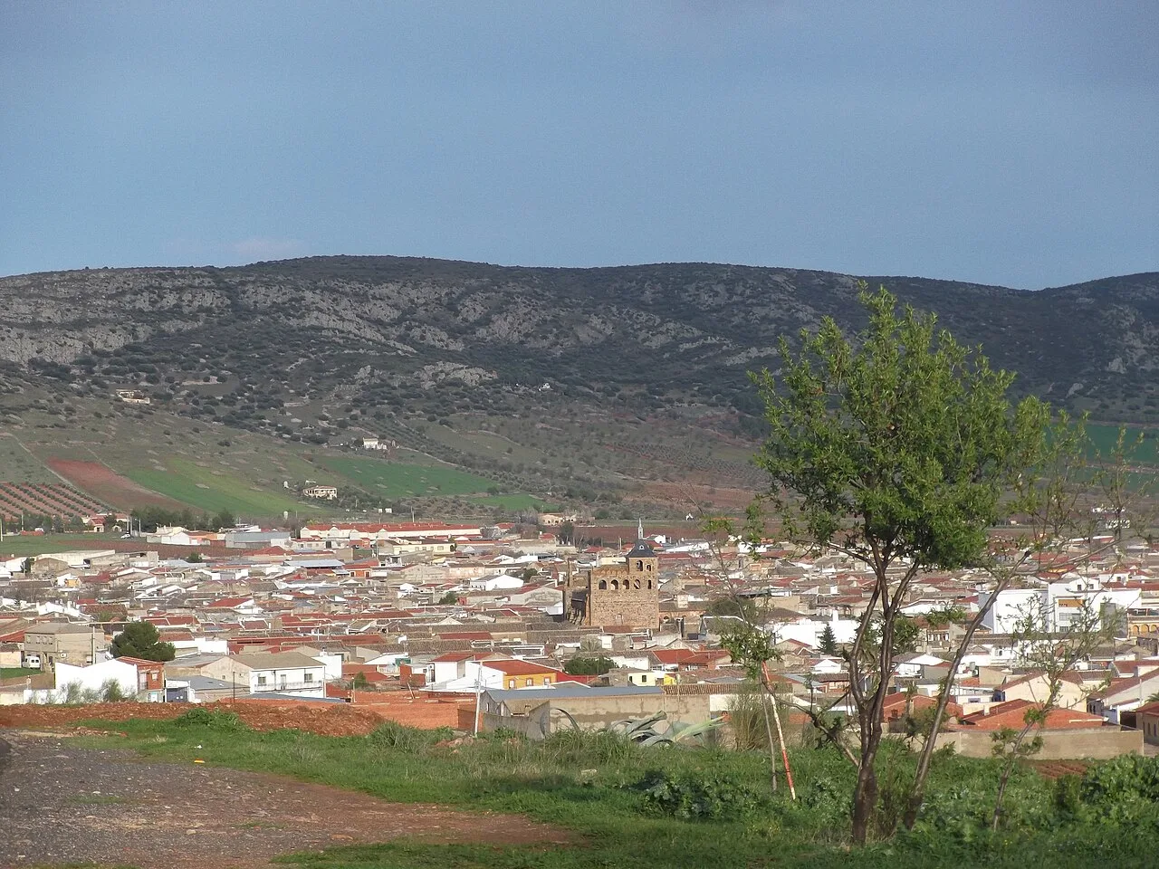 View of Moral de Calatrava with houses and hills in the background.