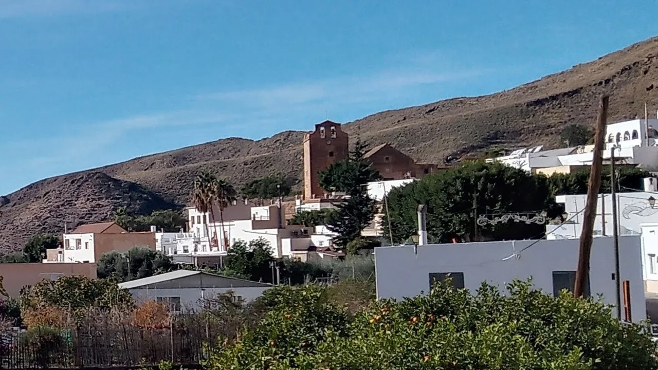 Orchards and fruit trees in Vícar, Almería, with hills in the background