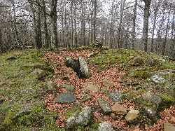Restos de un dolmen de piedra en un bosque con árboles desnudos.