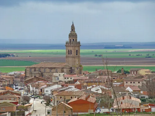 Vista de Nava del Rey con la iglesia de los Santos Juanes y casas en primer plano.