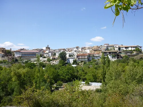 Houses on the hill and greenery in the foreground in Lumbier.