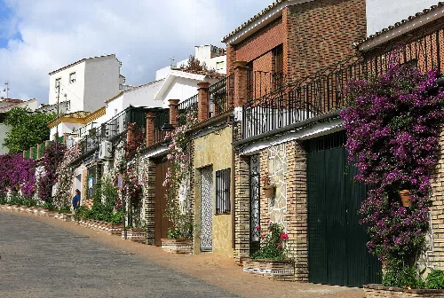 Straße mit Häusern und Blumen in Benaoján, Málaga.