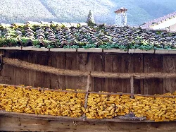 Wooden hórreo with drying corn cobs in front.