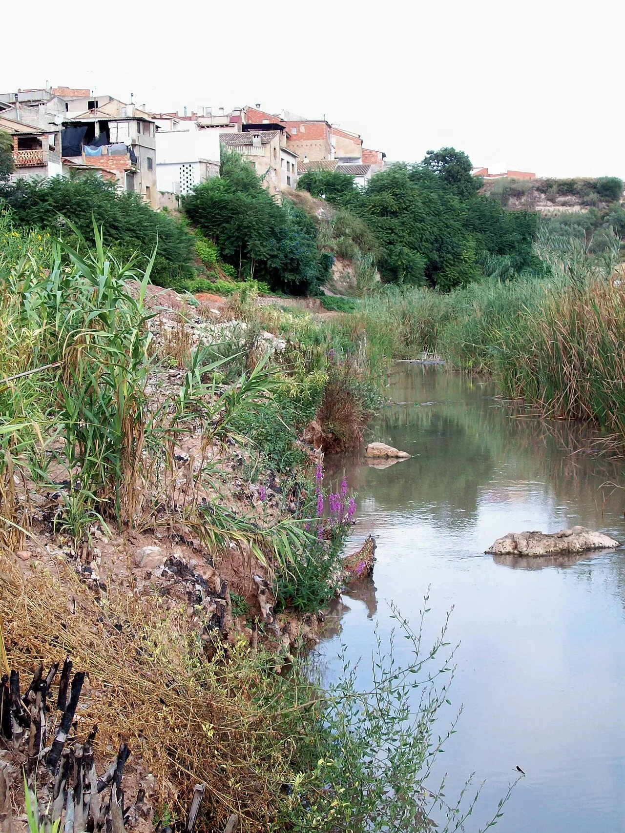 Fluss mit Vegetation und Häusern auf dem Hügel in Sellent, Valencia.