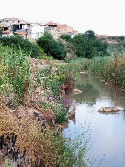 Fluss mit Vegetation und Häusern auf dem Hügel in Sellent, Valencia.
