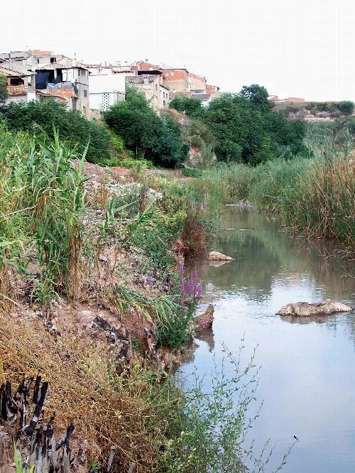 Fluss mit Vegetation und Häusern auf dem Hügel in Sellent, Valencia.