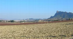 Paisaje con montañas y campos en primer plano, vista de Cieza desde la huerta.