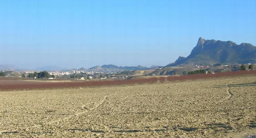 Landschaft mit Bergen und Feldern, Blick auf Cieza aus der Obstplantage.