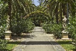 Pathway with palm trees and statues in Santa Cruz de Tenerife park.