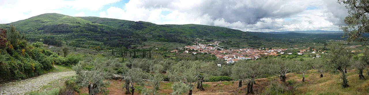 Landscape with trees and town in the valley.
