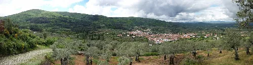 Landschaft mit Bäumen und Stadt im Tal.