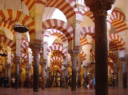 View of the interior with arches and columns.