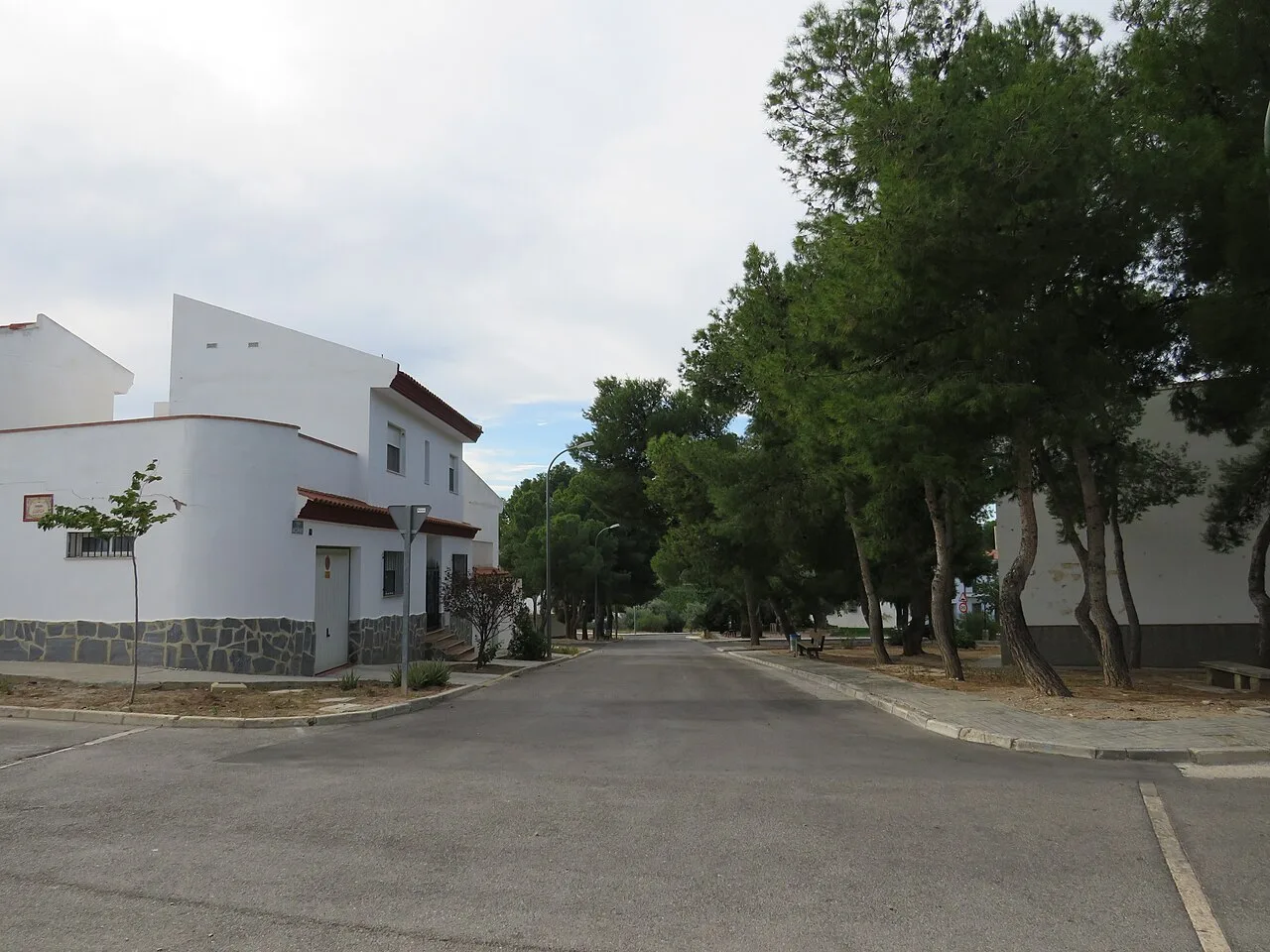 Straße mit Bäumen und weißen Häusern in Domeño, Valencia.