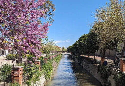 Riánsares River with flowering trees and a pedestrian walkway in Corral de Almaguer.